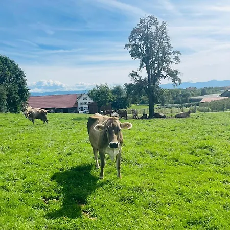 Lang Kressbronn am Bodensee