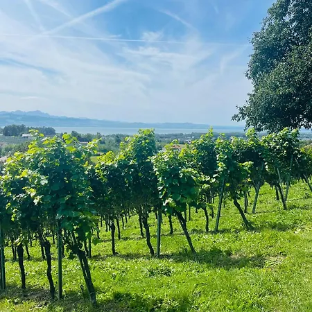 Lang מלון קרסברון אם בודנזי