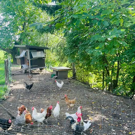 Lang מלון קרסברון אם בודנזי